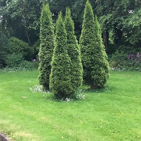 Mary At Tonylion House Kilnaleck