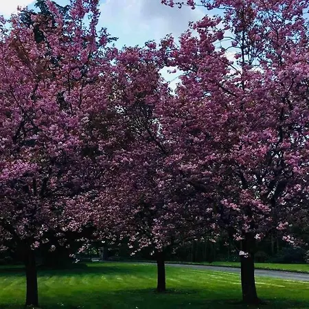 Ferienhaus Mary At Tonylion House Kilnaleck