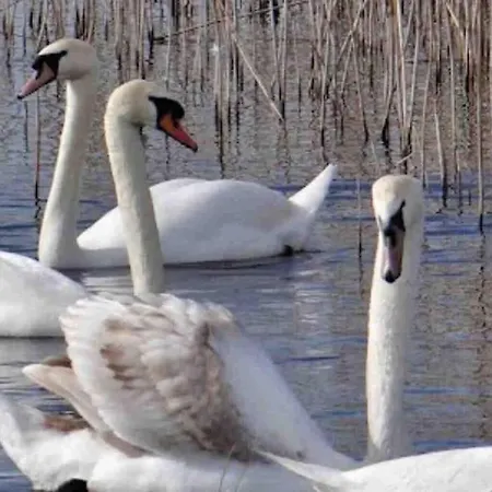 Ferienhaus Mary At Tonylion House Kilnaleck *