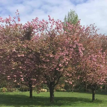 Casa de Férias Mary At Tonylion House Kilnaleck *
