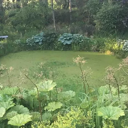 Mary At Tonylion House Kilnaleck